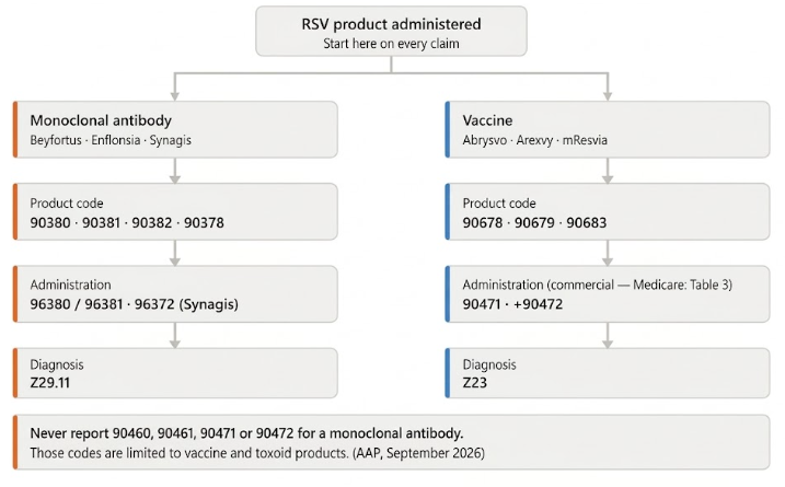 Decision diagram for RSV vaccine and monoclonal antibody CPT codes